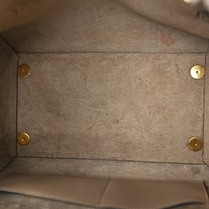 Celine Grained Calfskin Mini Belt Bag Light Taupe 5 of 13