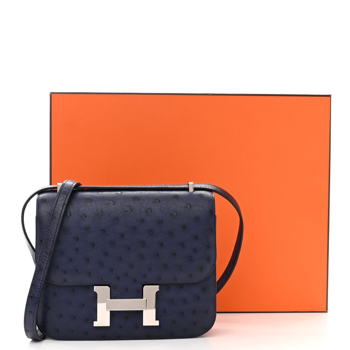 Ostrich Constance 18 Bleu Iris