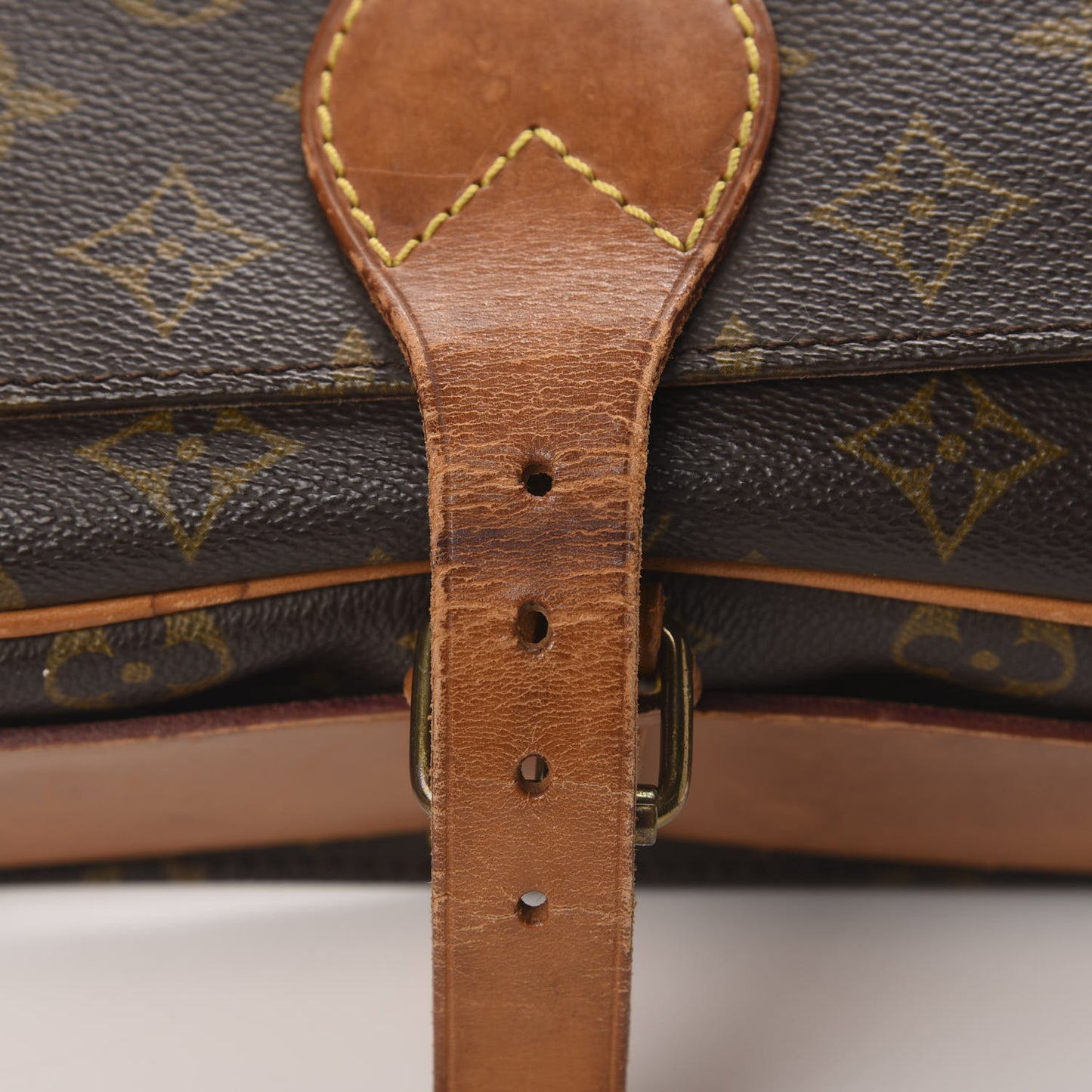 Monogram Cartouchiere 26