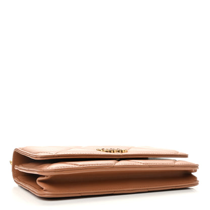 Chanel Lambskin Quilted Chanel 19 Wallet On Chain WOC Brown 4 of 14
