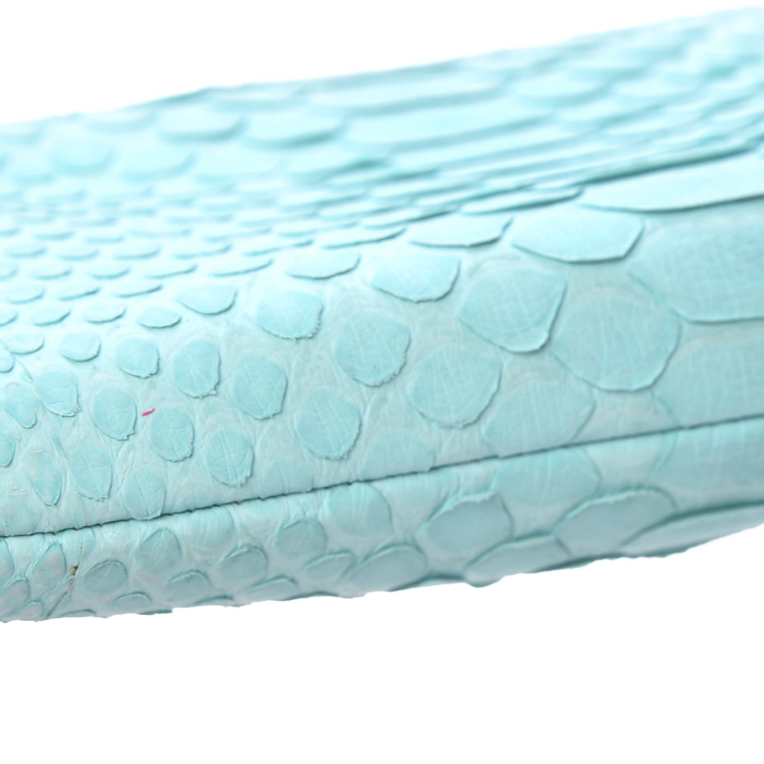 Chanel Python Timeless Clutch Blue 12 of 15
