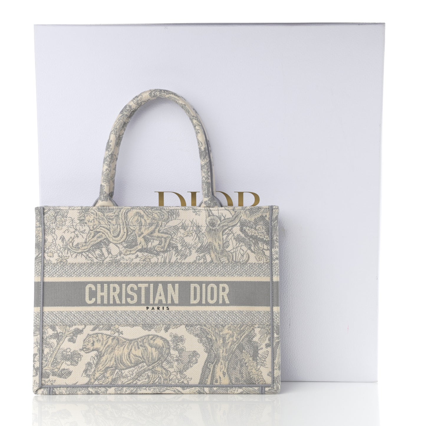 Canvas Embroidered Medium Dioriviera Toile De Jouy Book Tote Gray