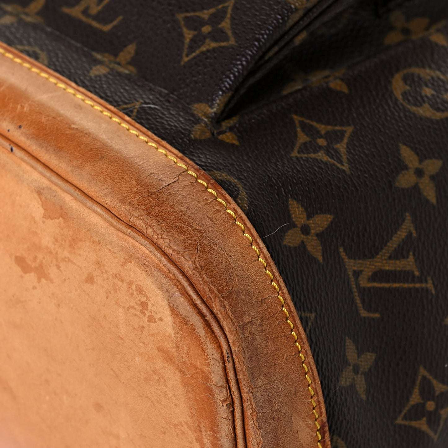 Monogram Montsouris GM Backpack