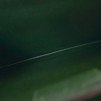 Louis Vuitton Epi Serviette Ambassadeur Briefcase Black 7 of 7