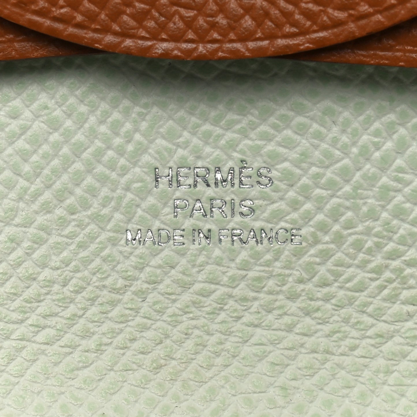 Epsom Bastia Verso Coin Purse Gold Vert Fizz