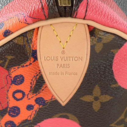 Louis Vuitton Monogram Ramages Speedy 30 Grenade 6 of 7