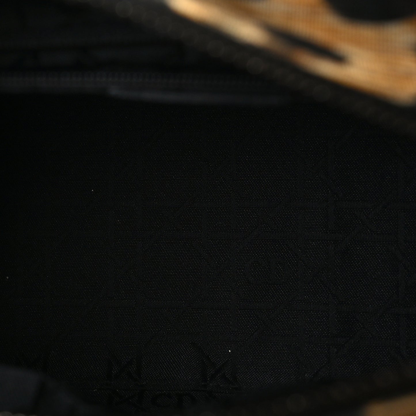Canvas Leopard Print Medium Lady Dior