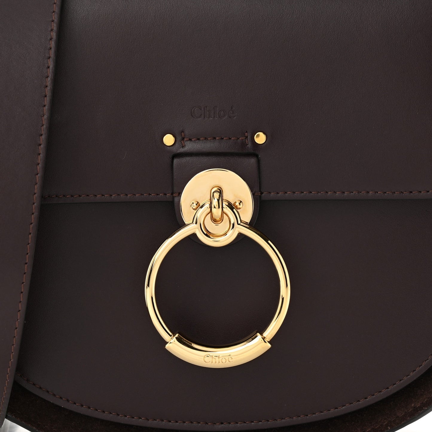 Calfskin Large Tess Bag Raisin