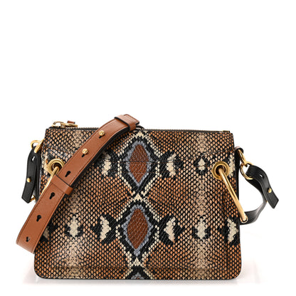 Chloe Calfskin Snakeskin Embossed Small Roy Bag Multicolor 1 of 9