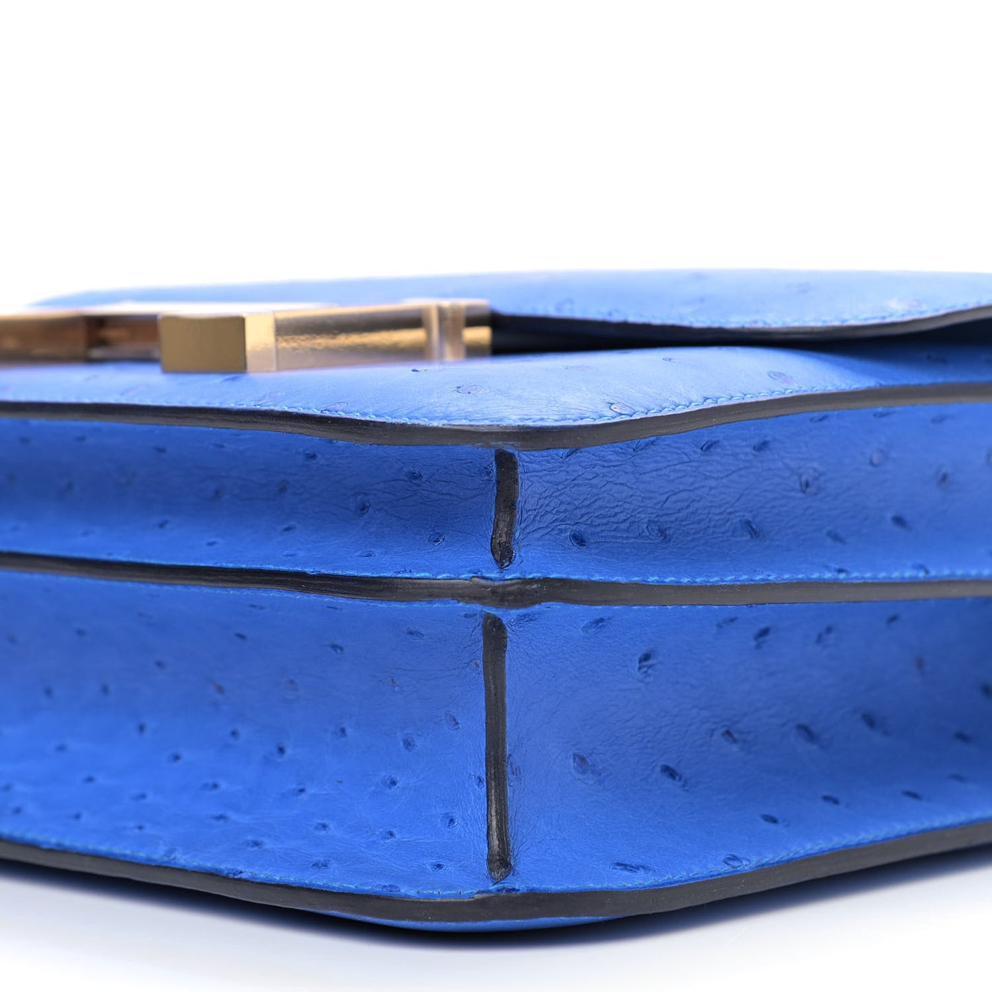 Ostrich Constance 24 Bleuet