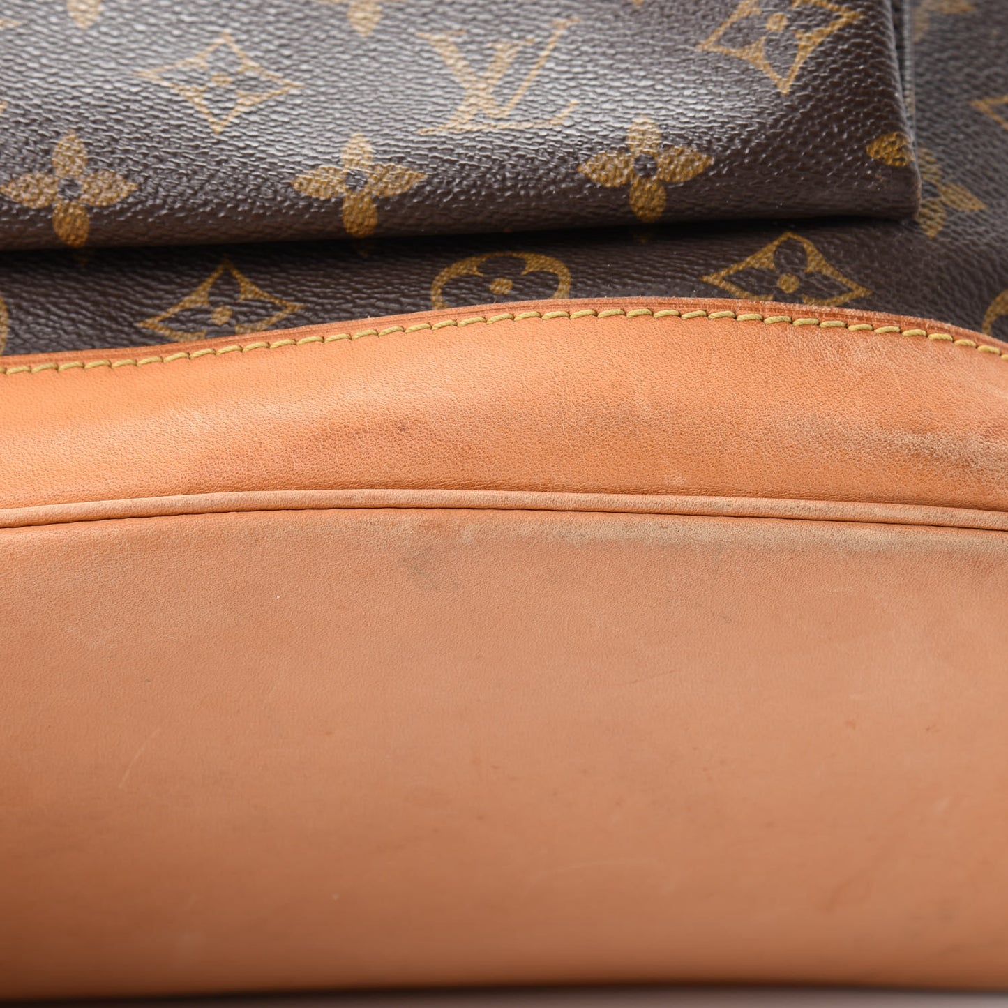 Monogram Montsouris GM Backpack