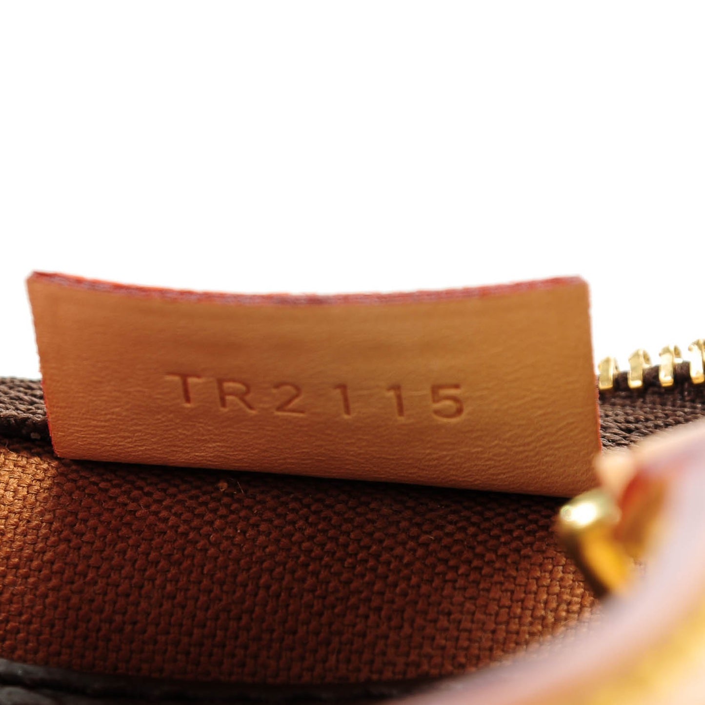 Monogram Nano Speedy