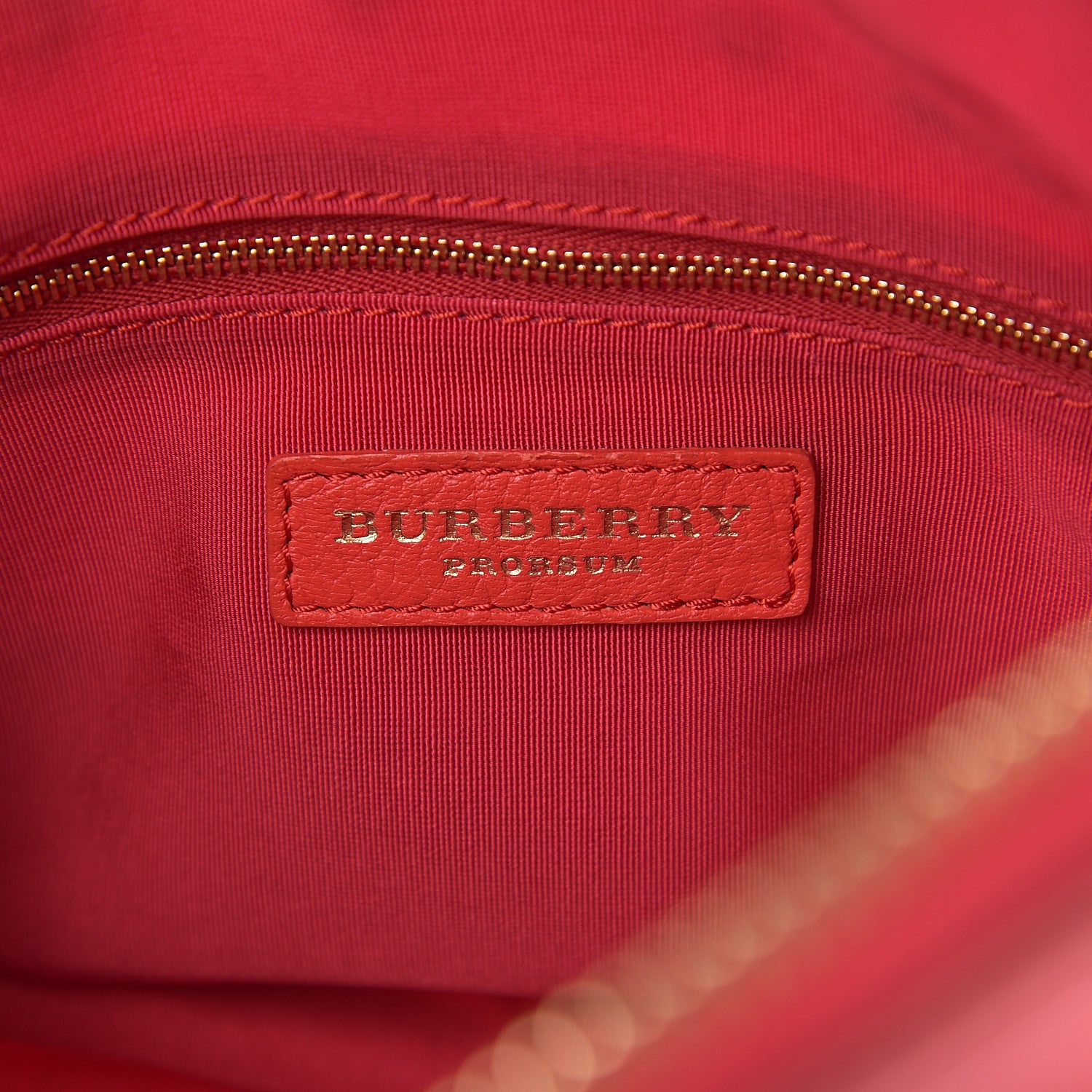 Burberry Prorsum PVC Petal Crossbody Pink Azalea 6 of 16