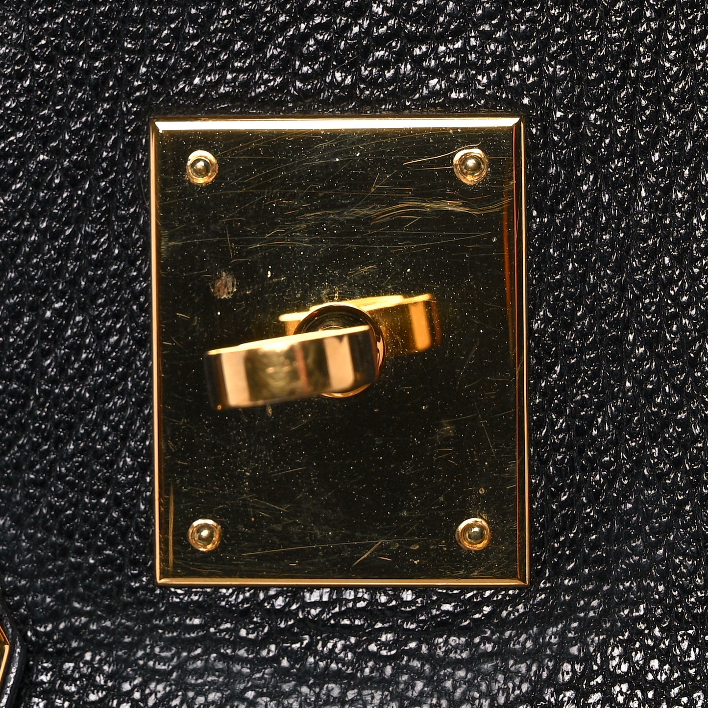 Chevre de Coromandel Birkin 35 Black