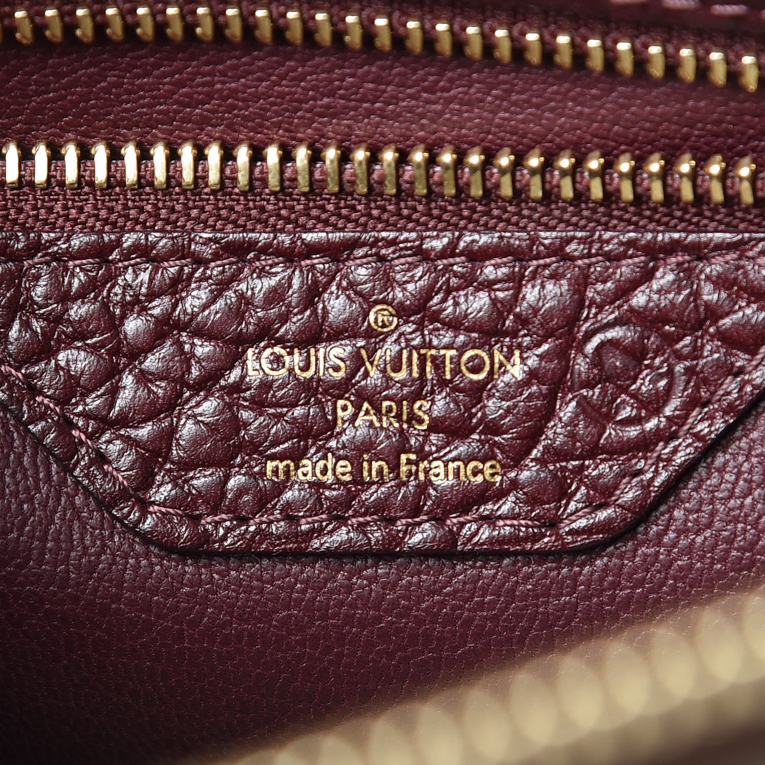 Louis Vuitton Ostrich Lizard Exotique Majestueux Shoulder Bag Bordeaux 6 of 9