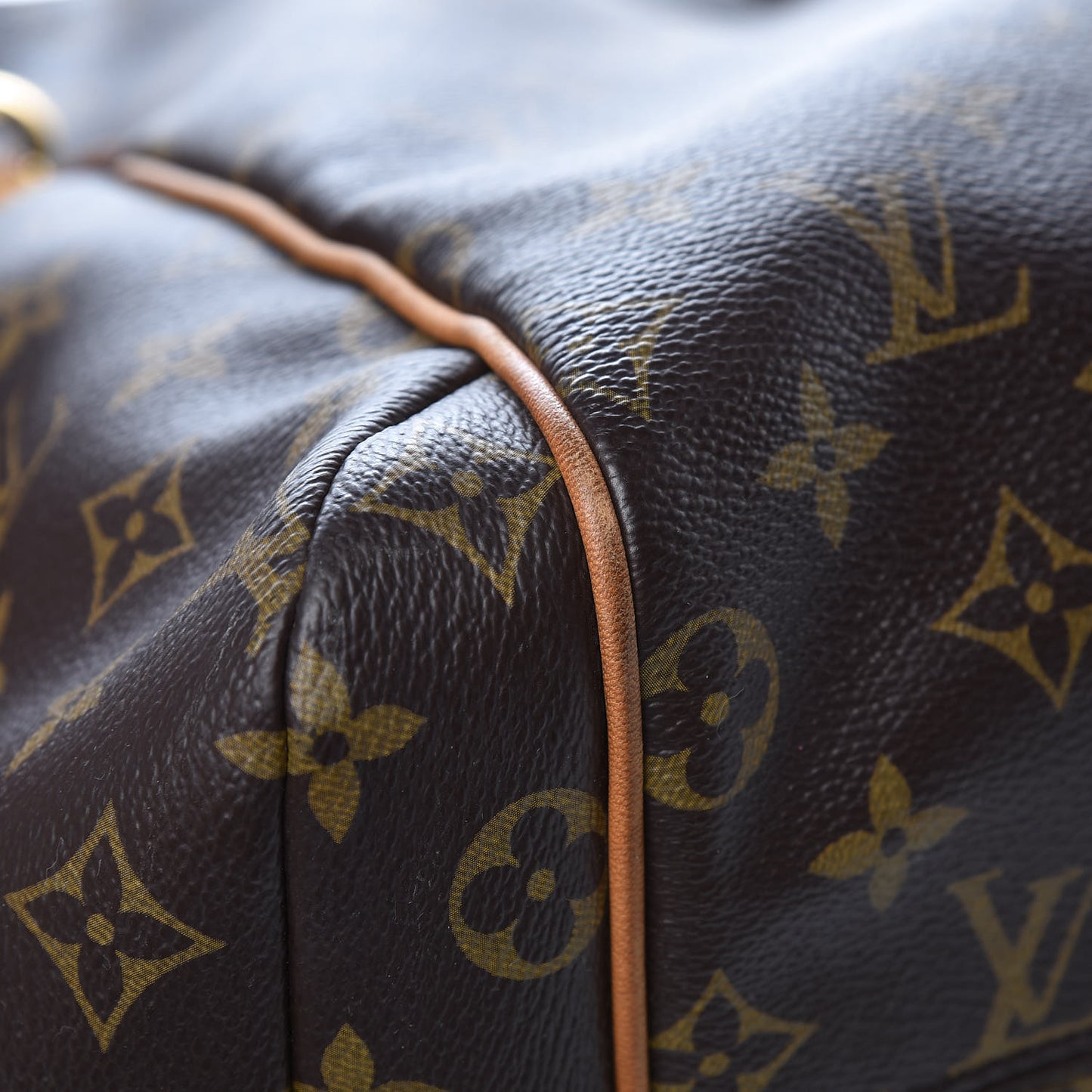 Monogram Totally MM