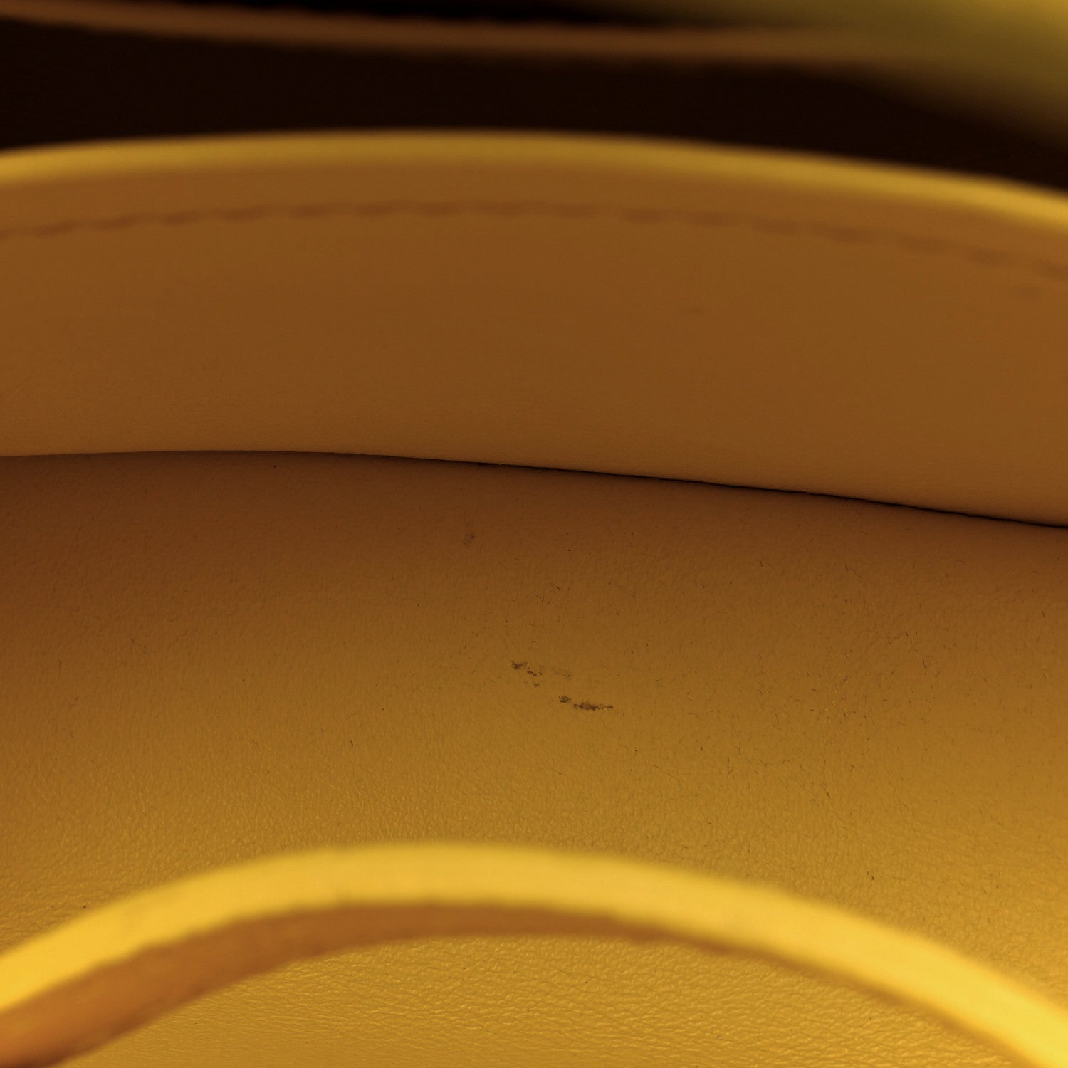 Louis Vuitton Taurillon Mini Capucines Yellow 10 of 10