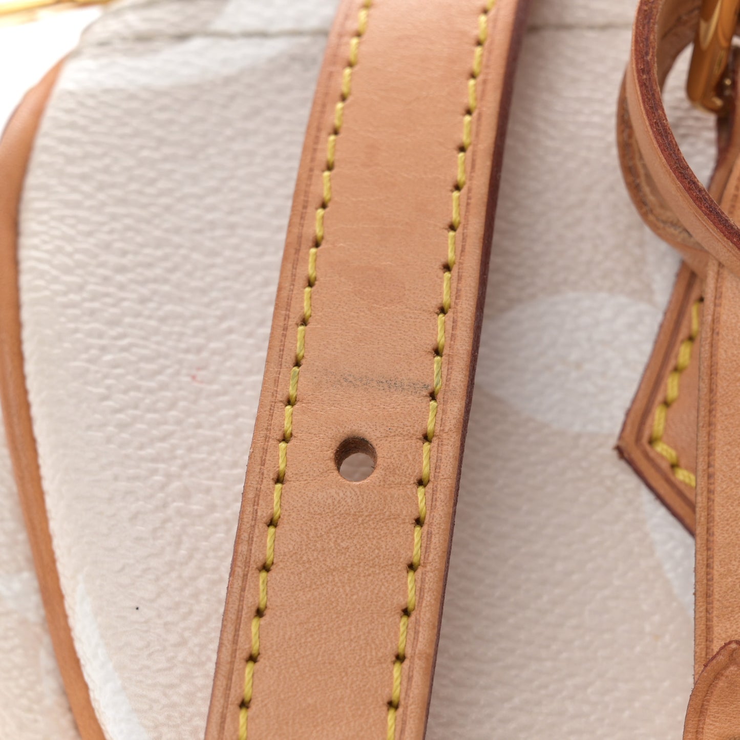 Monogram Giant By The Pool Speedy Bandouliere 25 Brume