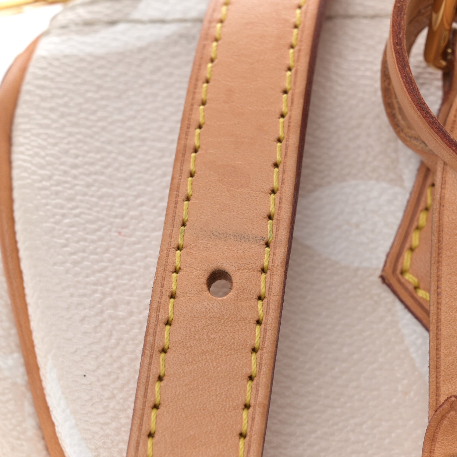Louis Vuitton Monogram Giant By The Pool Speedy Bandouliere 25 Brume 16 of 19