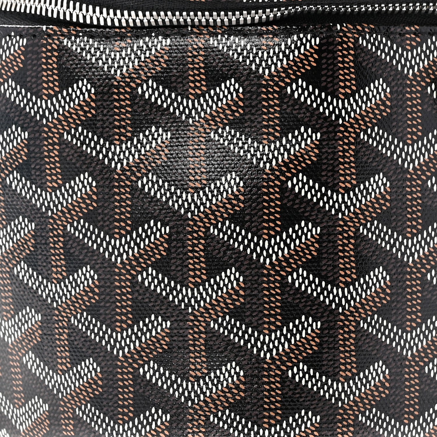 Goyard Goyardine Muse Vanity Case Black 8 of 8