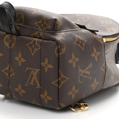 Louis Vuitton Monogram Palm Springs Backpack Mini 10 of 10