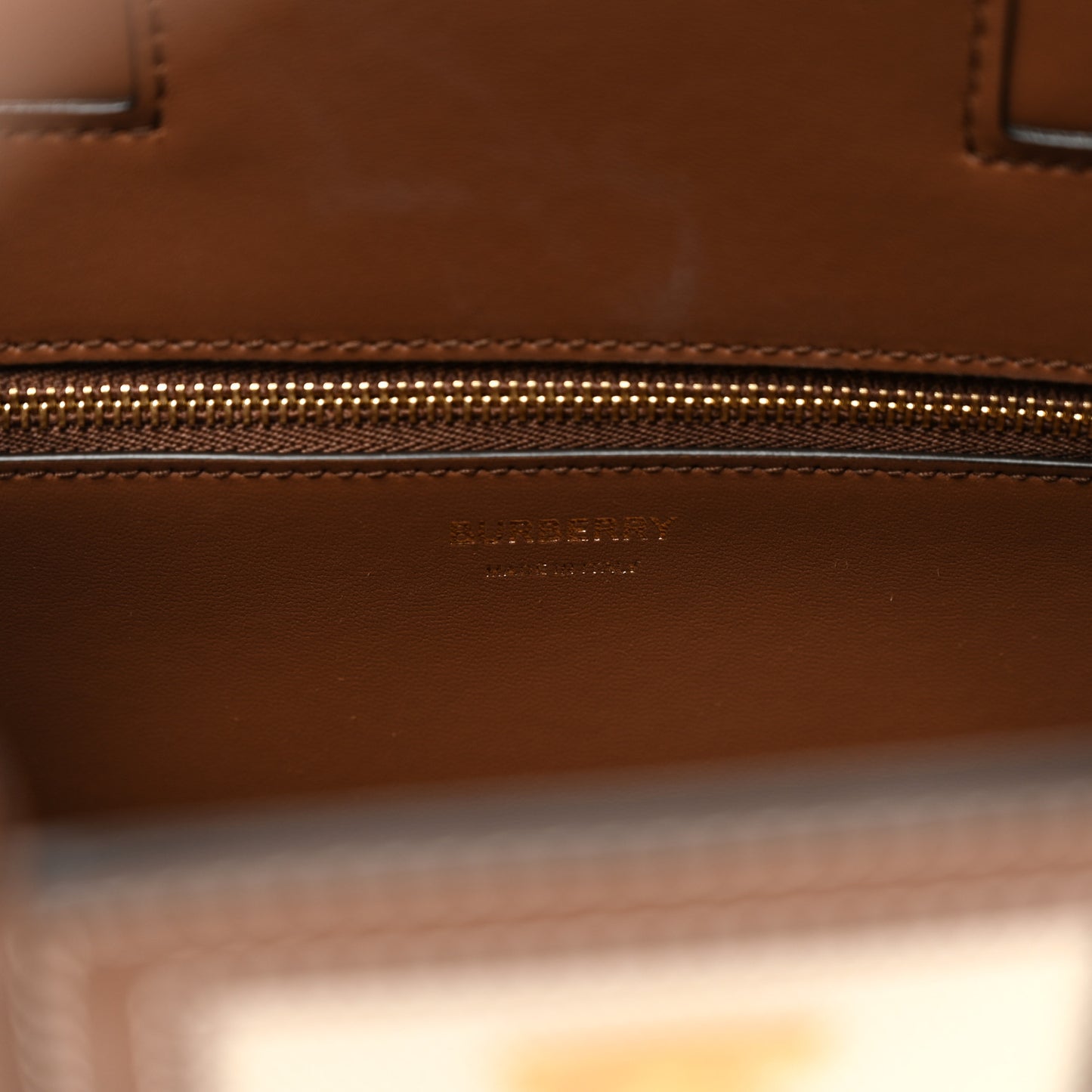 Canvas Smooth Calfskin Mini Frances Tote Natural Malt Brown