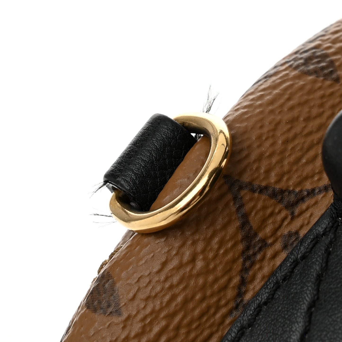 Reverse Monogram Palm Springs Backpack Mini
