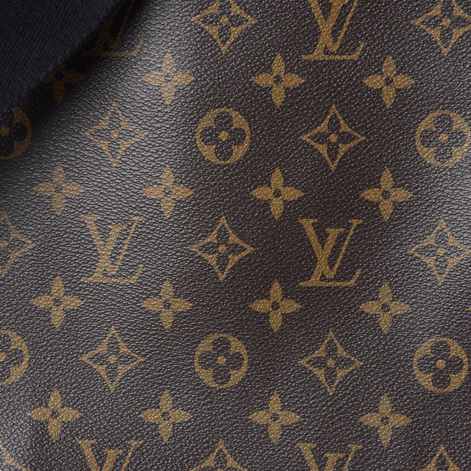 Louis Vuitton Monogram Macassar District MM 10 of 10