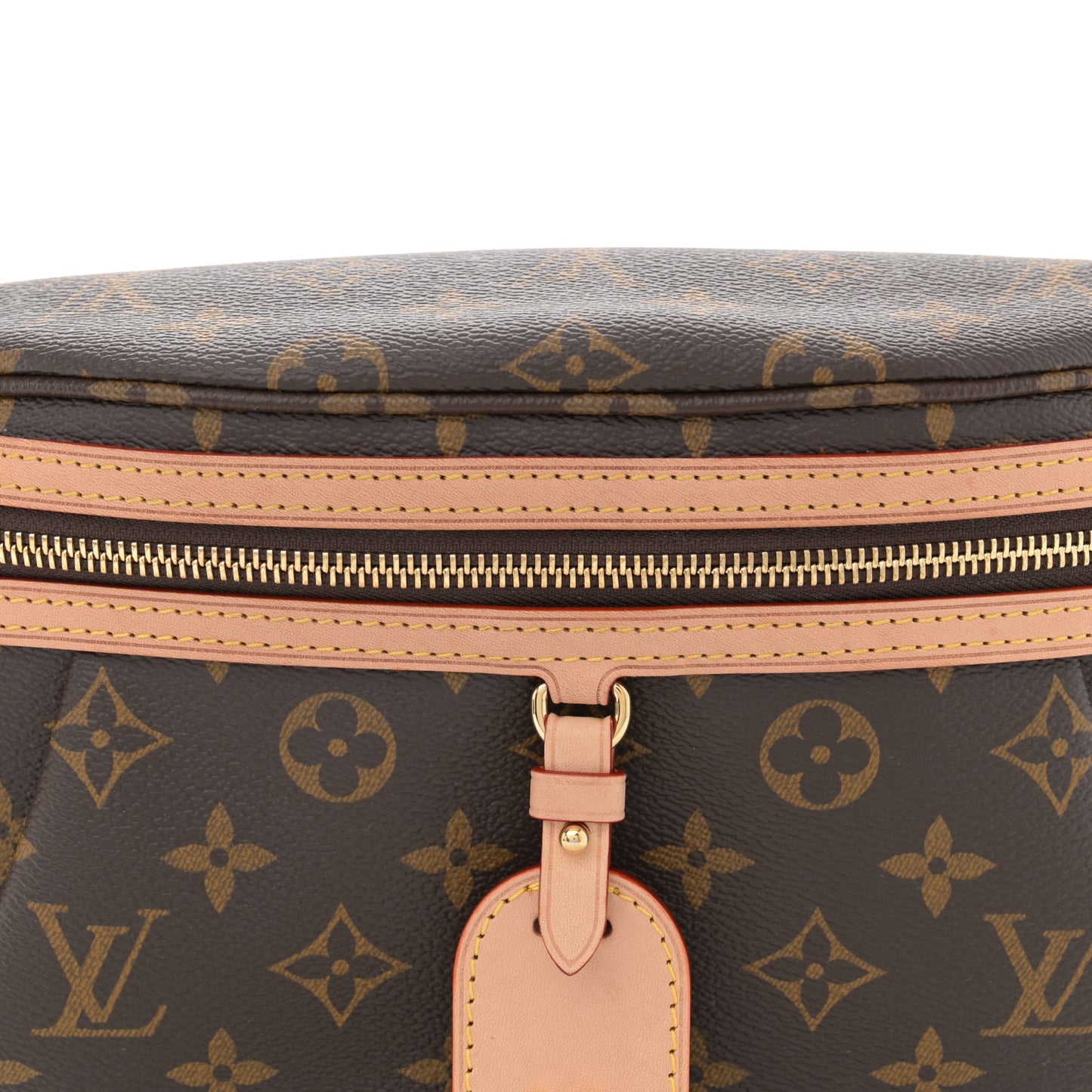 Monogram High Rise Bumbag