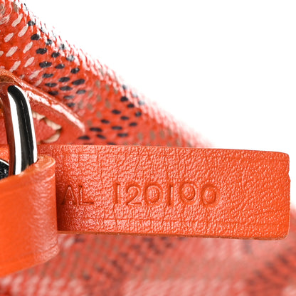 Goyard Goyardine Saint Louis PM Orange 8 of 12