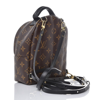 Louis Vuitton Monogram Palm Springs Backpack Mini 3 of 8