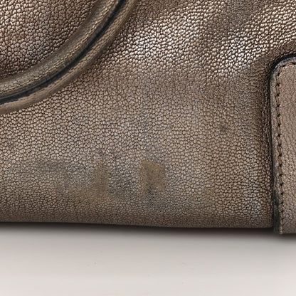 Loewe Metallic Calfskin Amazona 28 Bronze 14 of 18