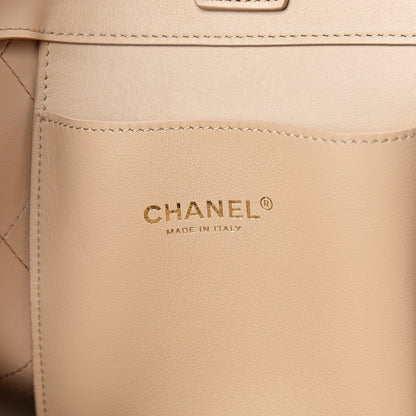 Chanel Calfskin Large Serial Shopper Tote Beige 5 of 14