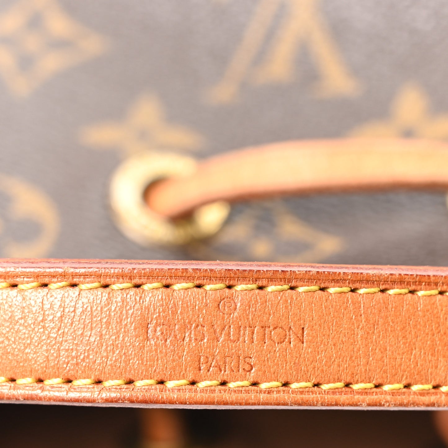 Monogram Mini Noe