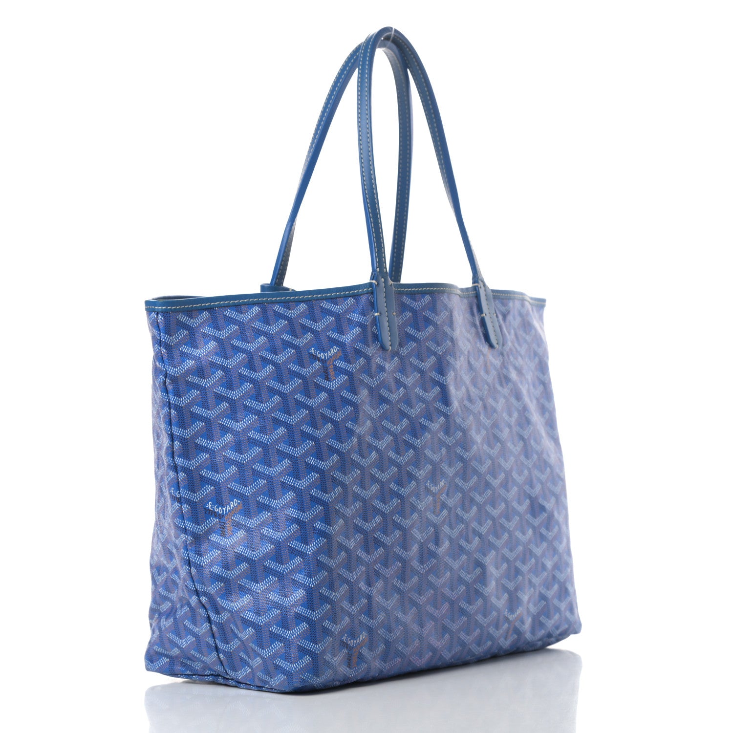 Goyard Goyardine Saint Louis PM Sky Blue 4 of 13
