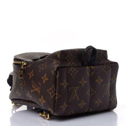 Louis Vuitton Monogram Palm Springs Backpack Mini 3 of 4