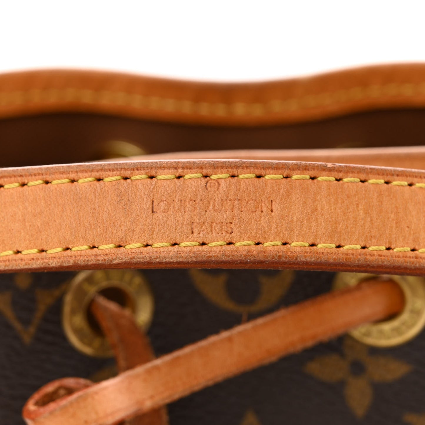 Monogram Mini Noe