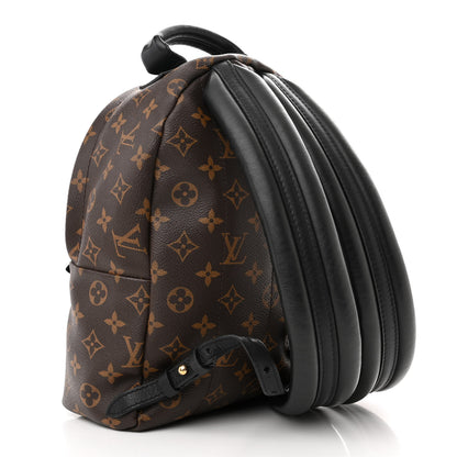 Louis Vuitton Monogram Palm Springs Backpack PM 3 of 12