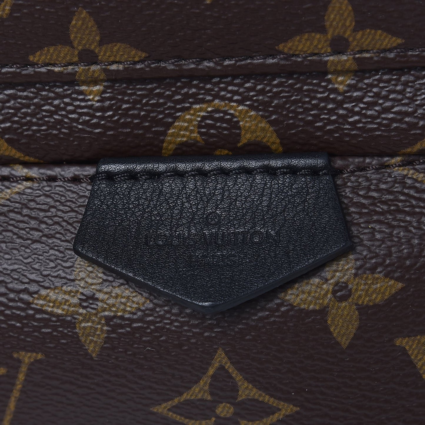 Monogram Palm Springs Backpack PM