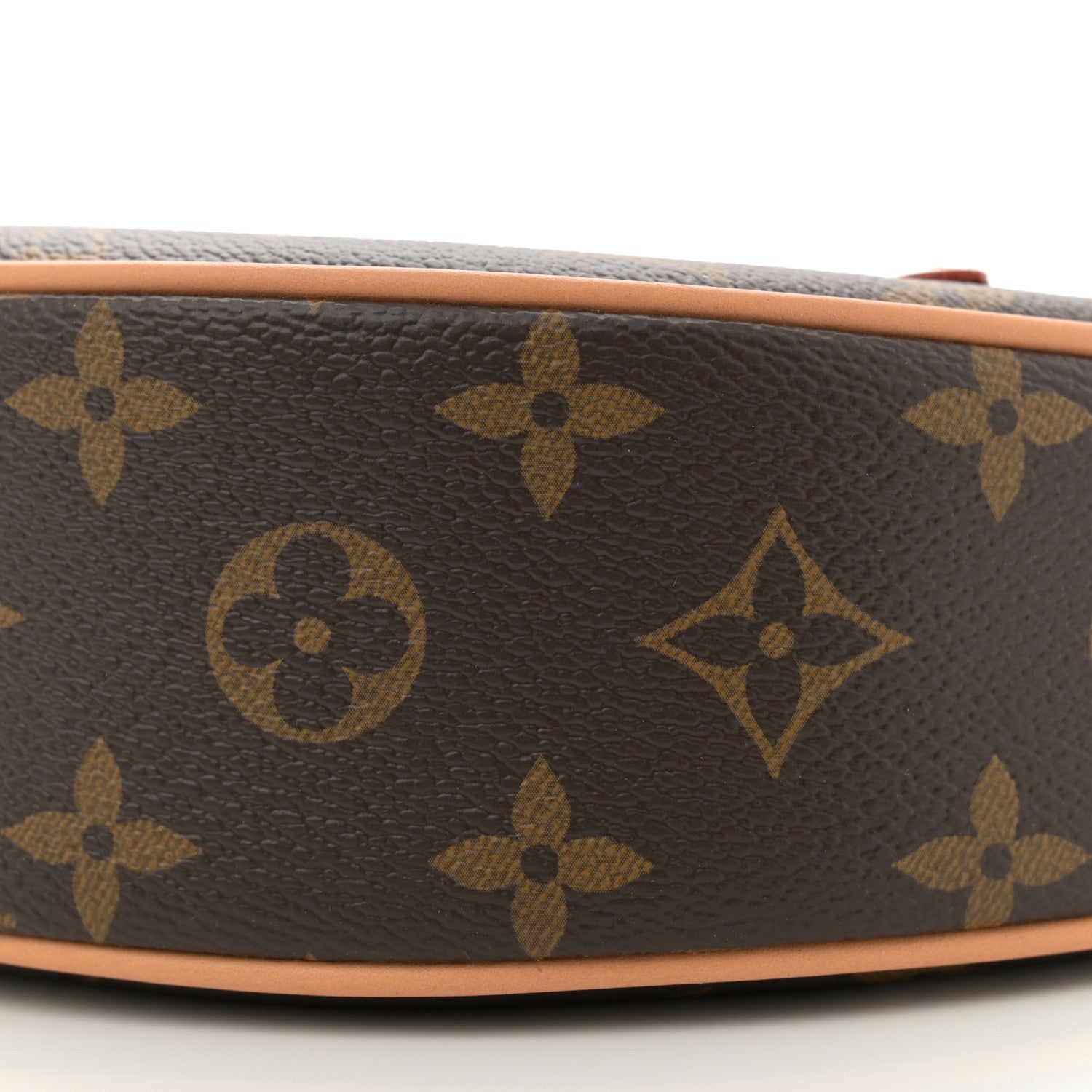 Louis Vuitton Monogram Loop 9 of 10