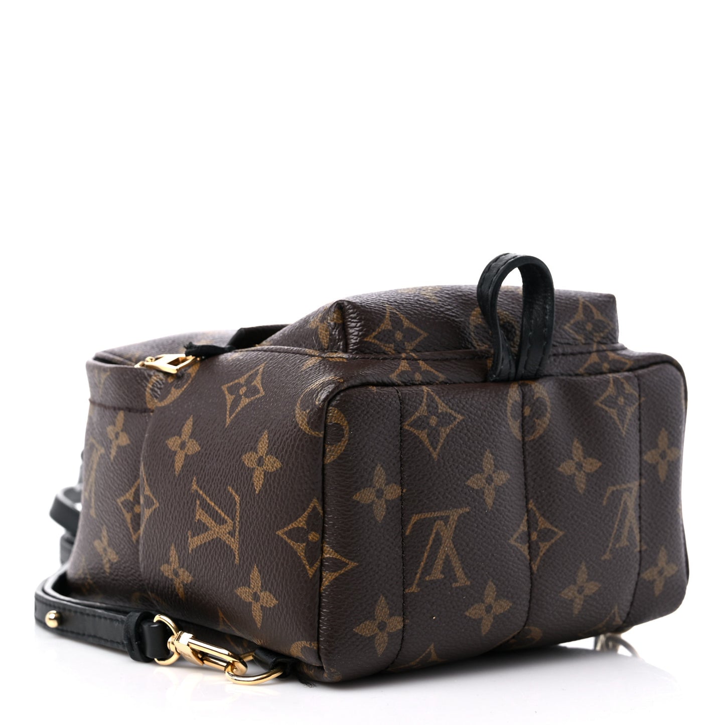 Monogram Palm Springs Backpack Mini