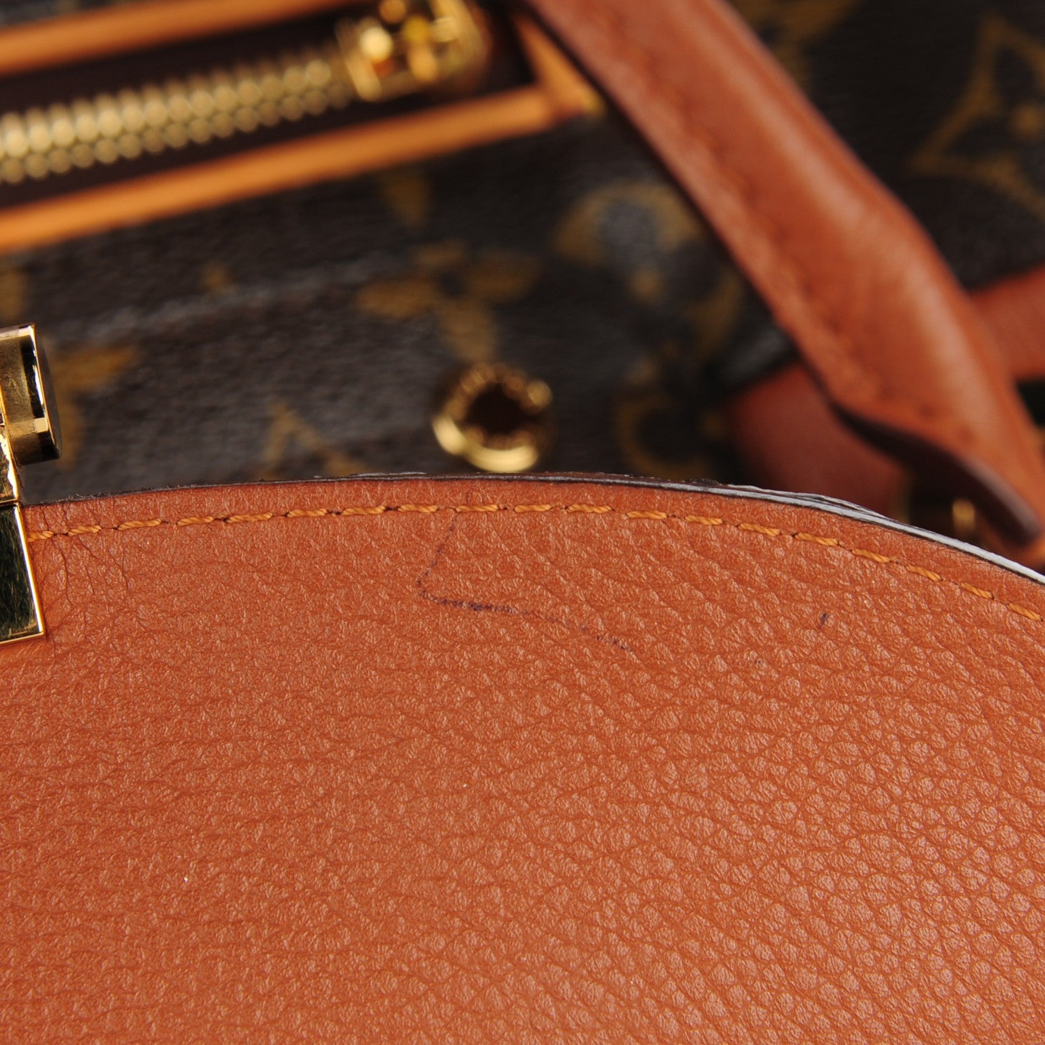 Louis Vuitton Monogram Olympe Havane 7 of 8