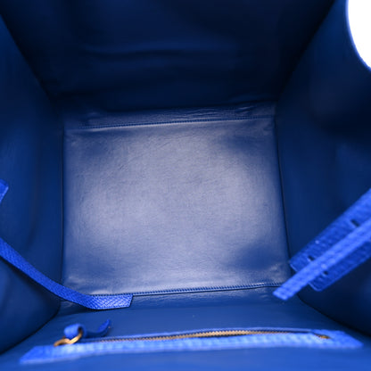 Celine Snakeskin Medium Phantom Luggage Blue 4 of 13