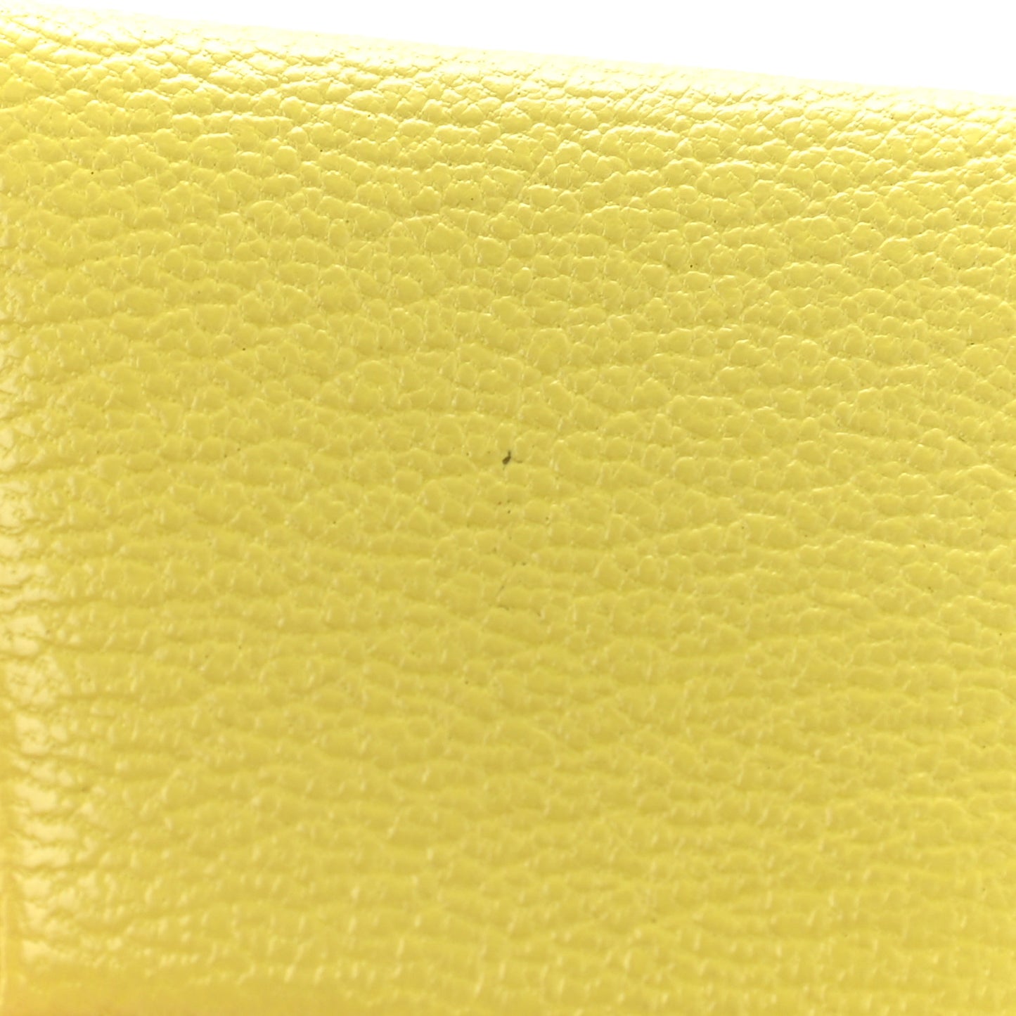 Chevre Mysore Bastia Coin Purse Lime