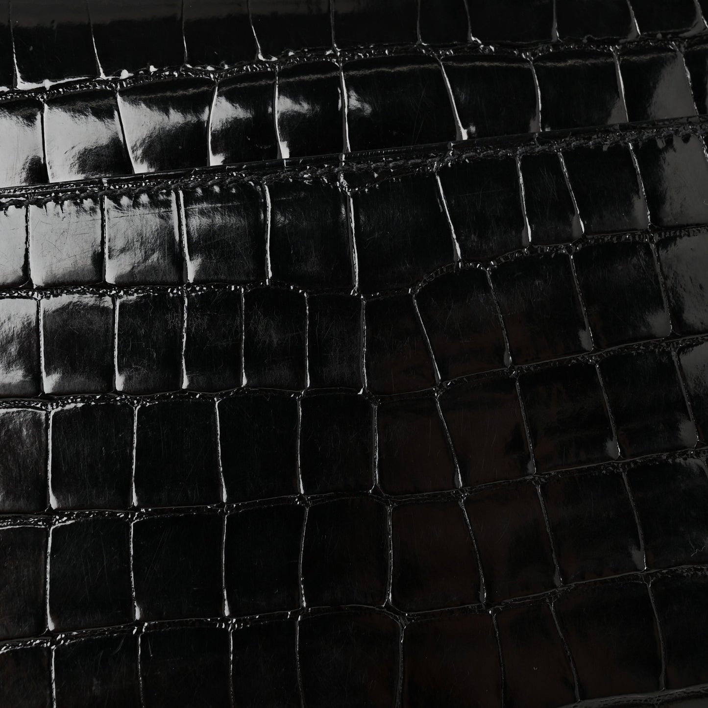 Shiny Alligator Monochrome Constance Long Wallet Black