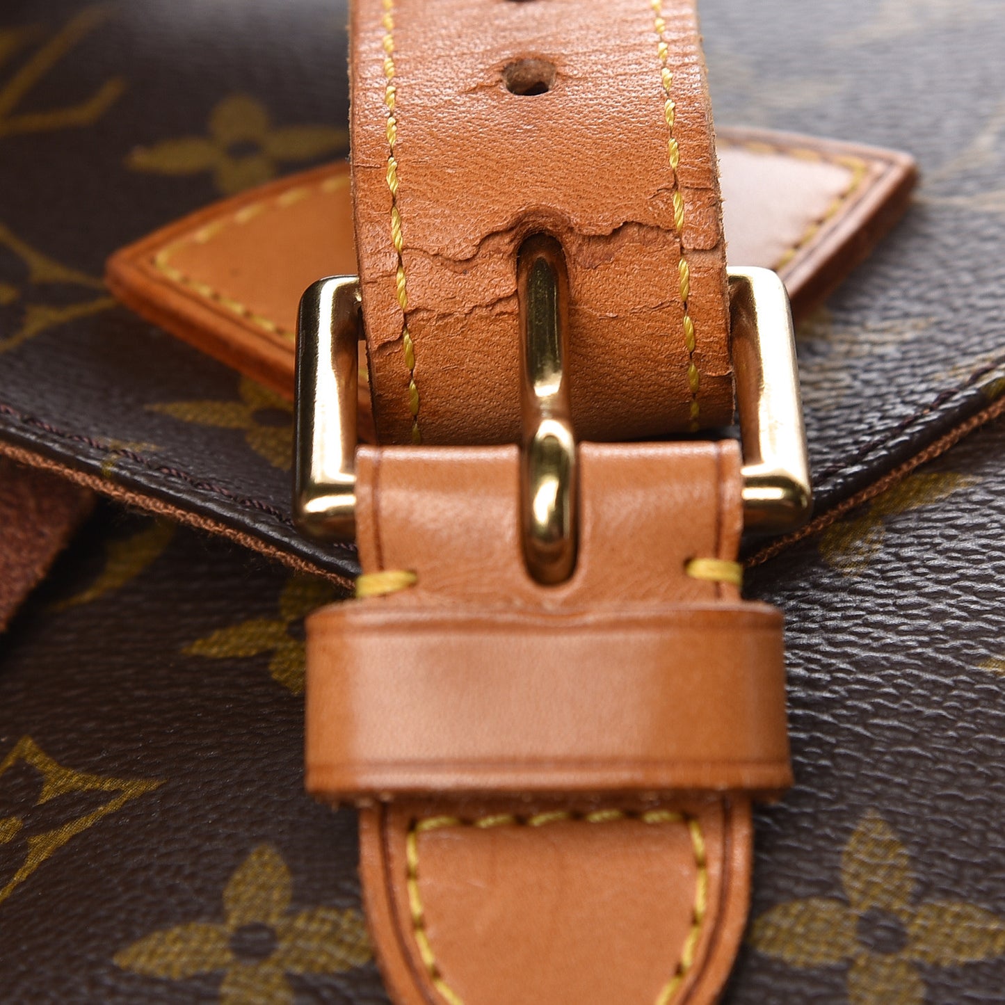 Monogram Montsouris GM Backpack
