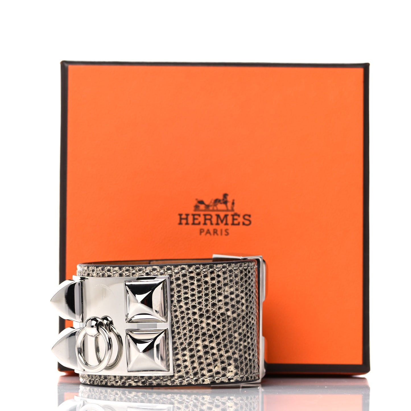 Lizard Collier De Chien CDC Bracelet T2 Ombre