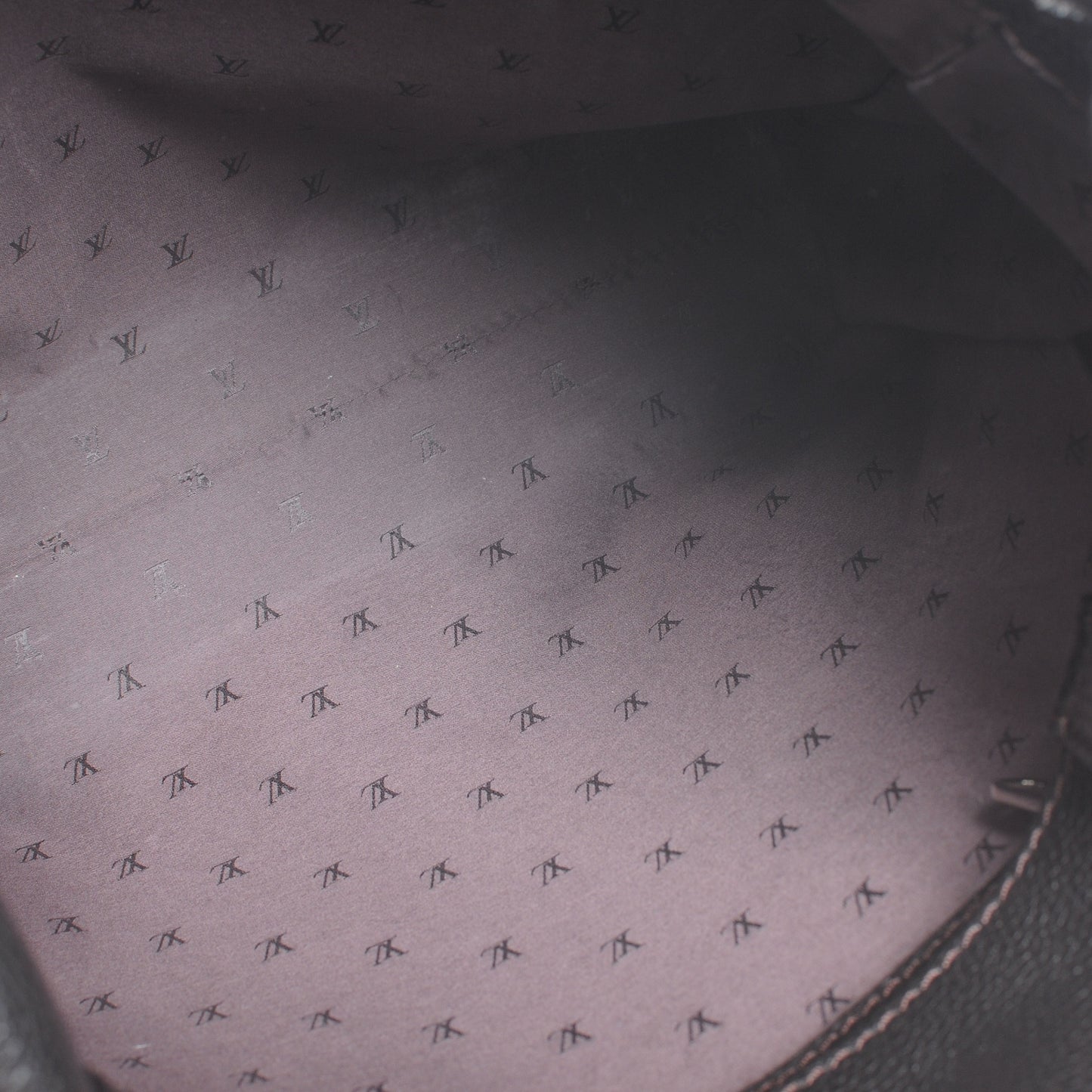 Suede Innsbruck Cabas