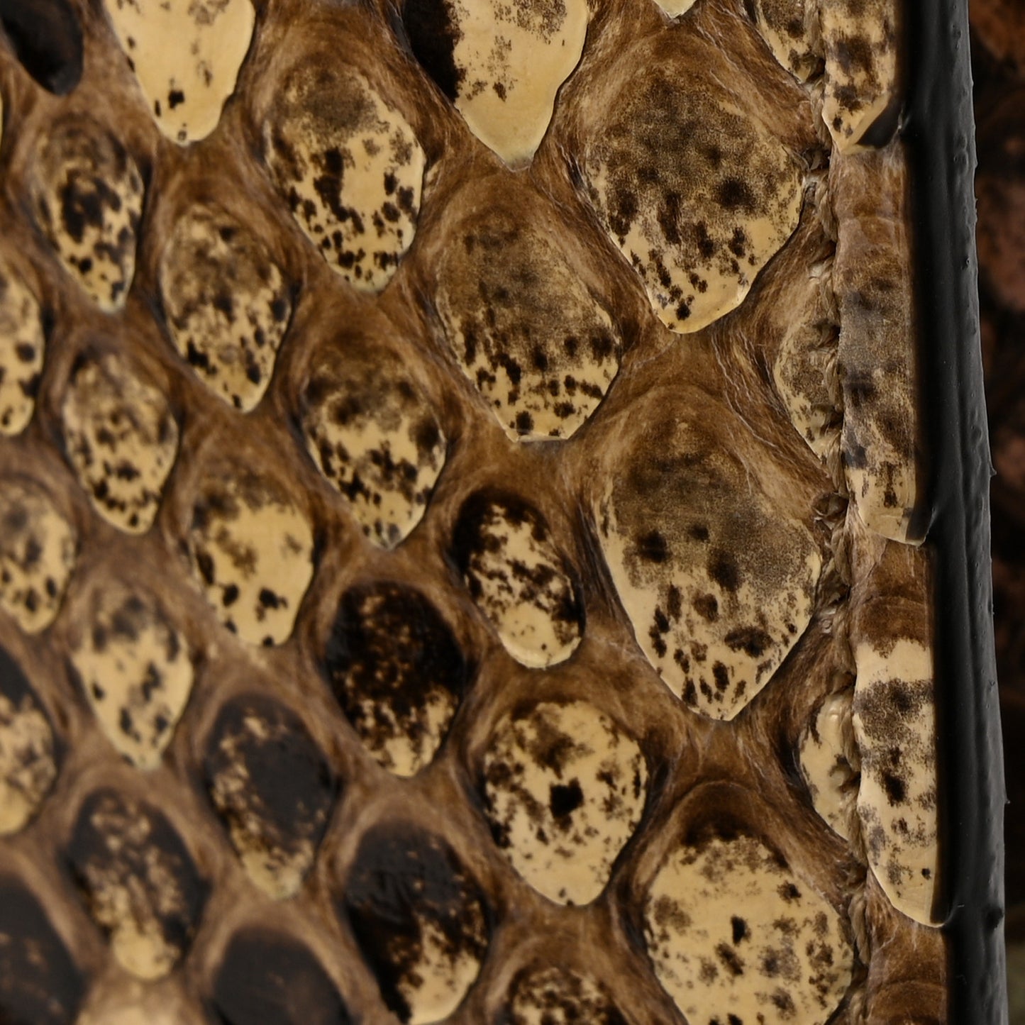 Snakeskin Horsebit 1955 Shoulder Bag Multicolor