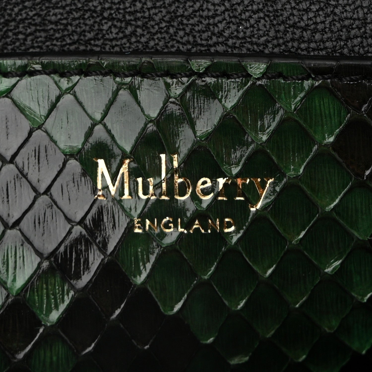 Mulberry Snakeskin Calfskin Camera Bag Green Black 6 of 9